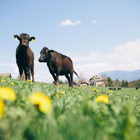Alpin Farm Birke - Oberweidacherhof コッラルボ エクステリア 写真