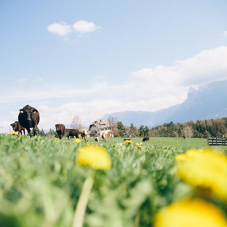 Alpin Farm Birke - Oberweidacherhof コッラルボ エクステリア 写真