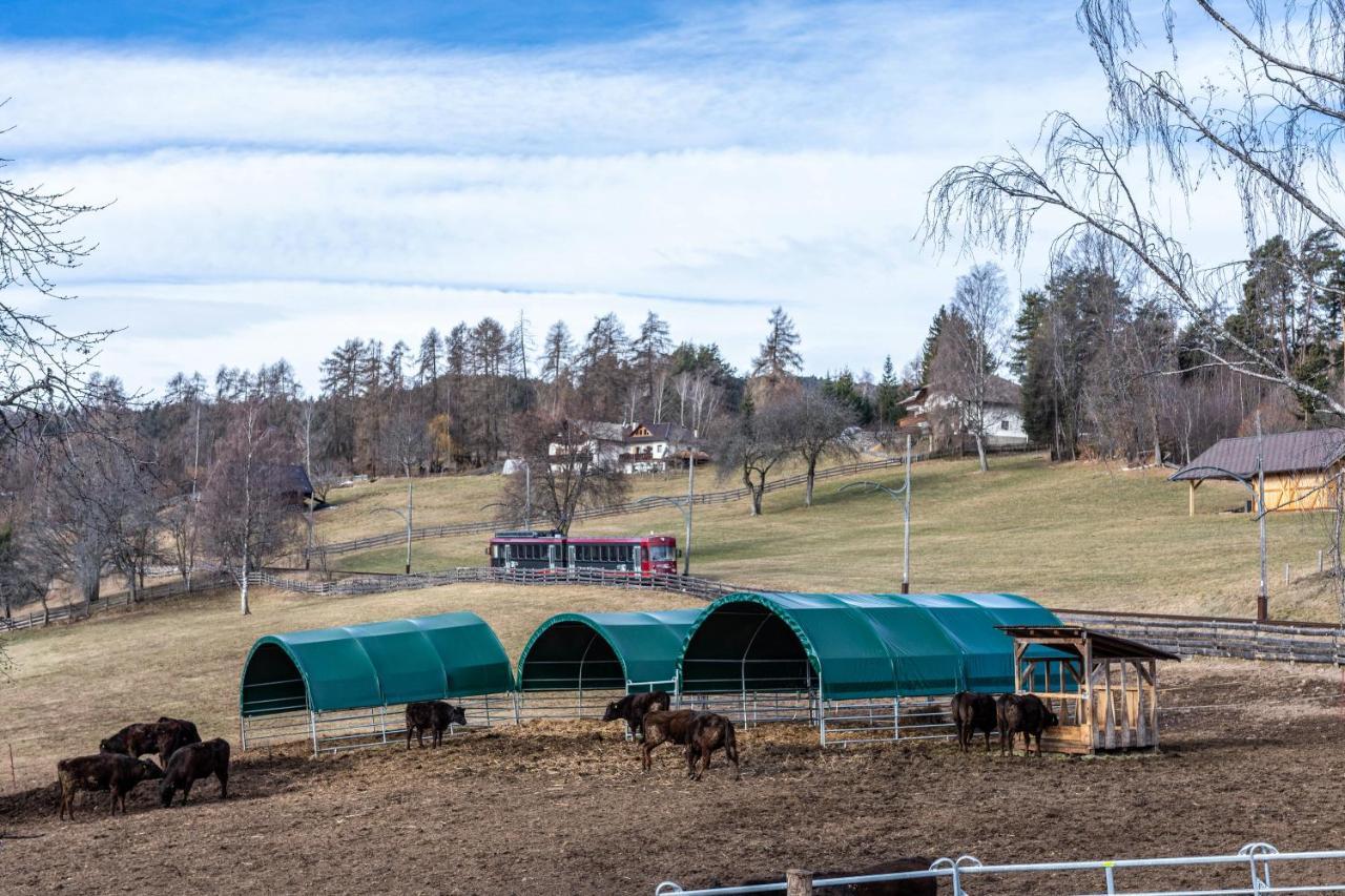 Alpin Farm Birke - Oberweidacherhof コッラルボ エクステリア 写真