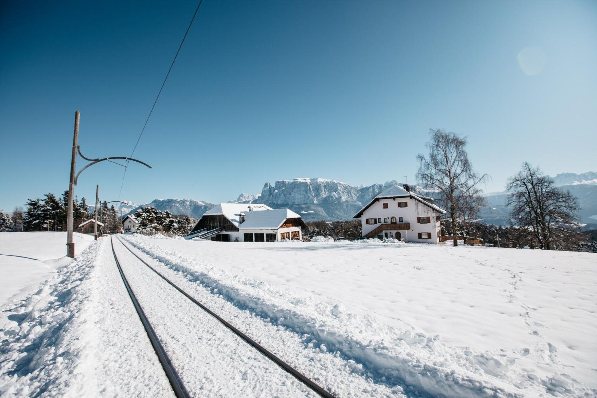 Alpin Farm Birke - Oberweidacherhof コッラルボ エクステリア 写真